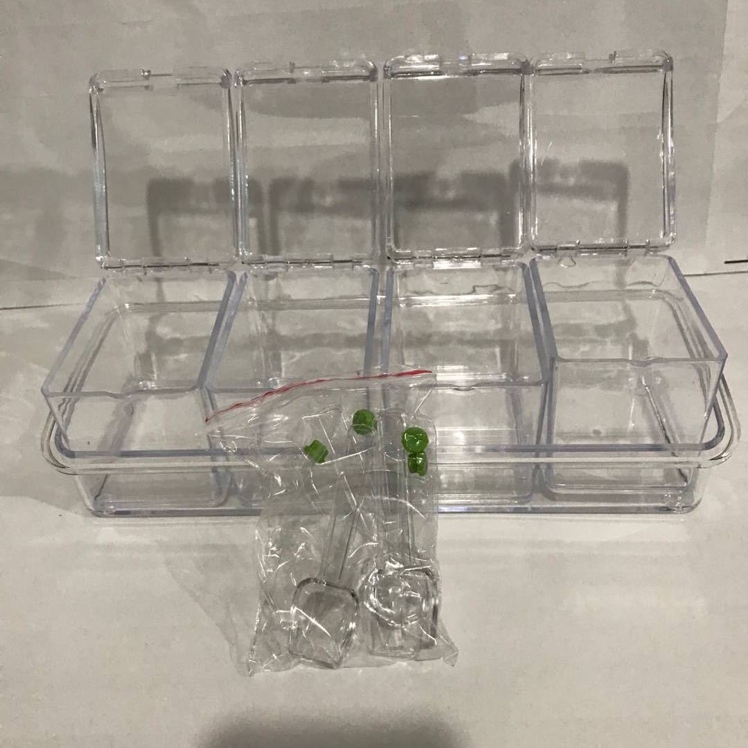 Transparent Acrylic Seasoning Box - 4 Compartments with Spoons, Plastic